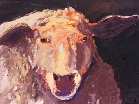 Mauve Sheep 16”x 20” – Oil Original – $625